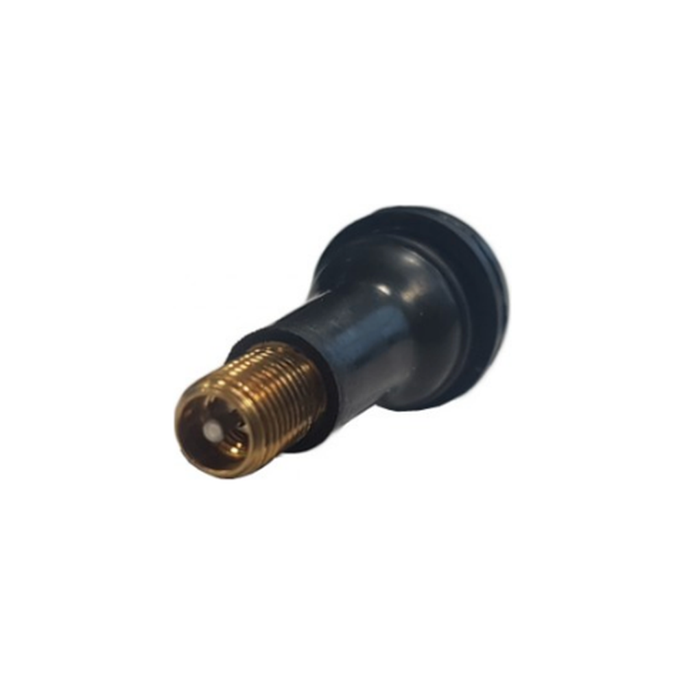 100 stuks bandenventielen TR-413