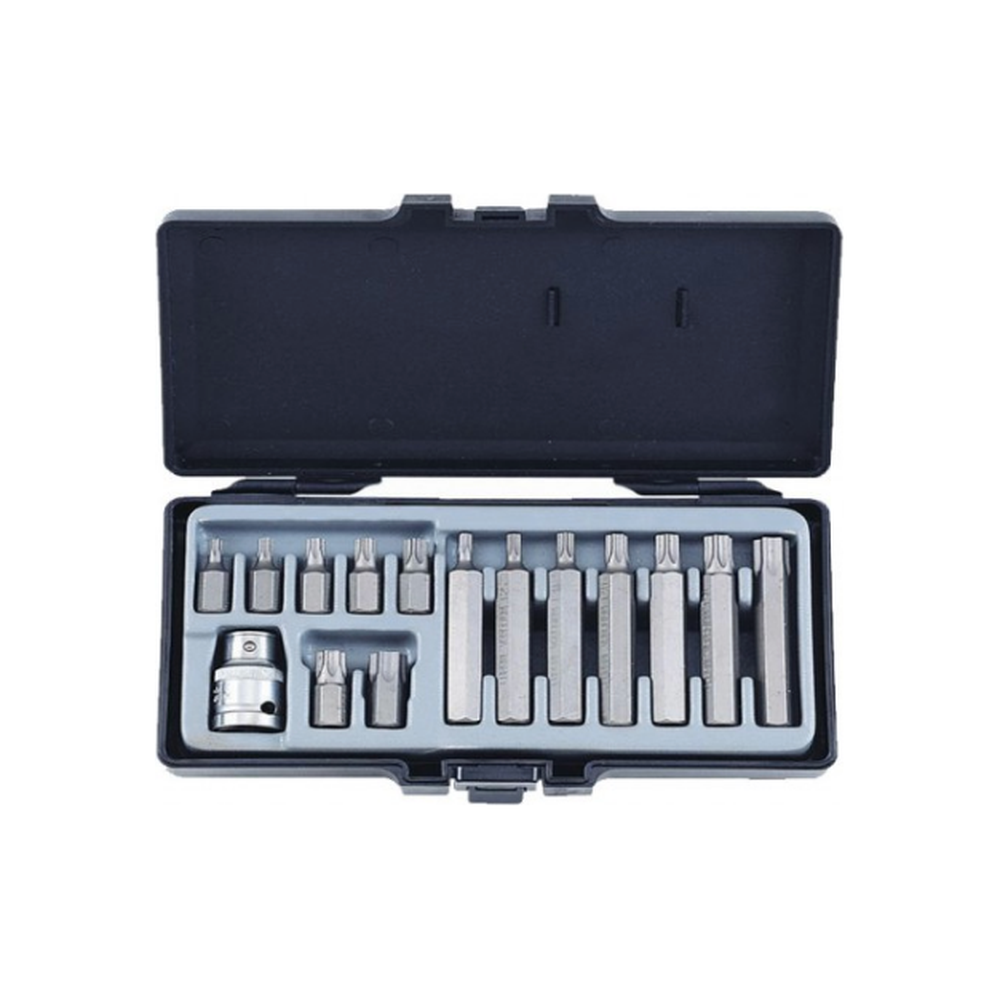 15pc 10mm Star bit set
