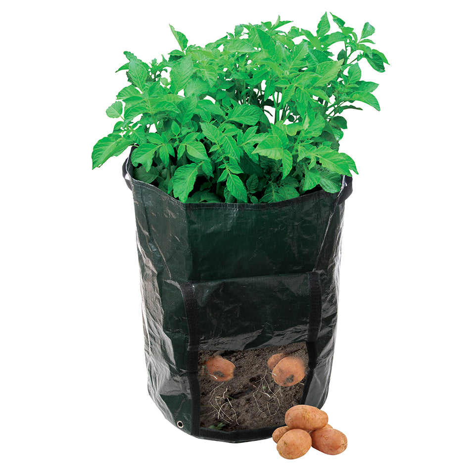 Silverline - Aardappelplantzak