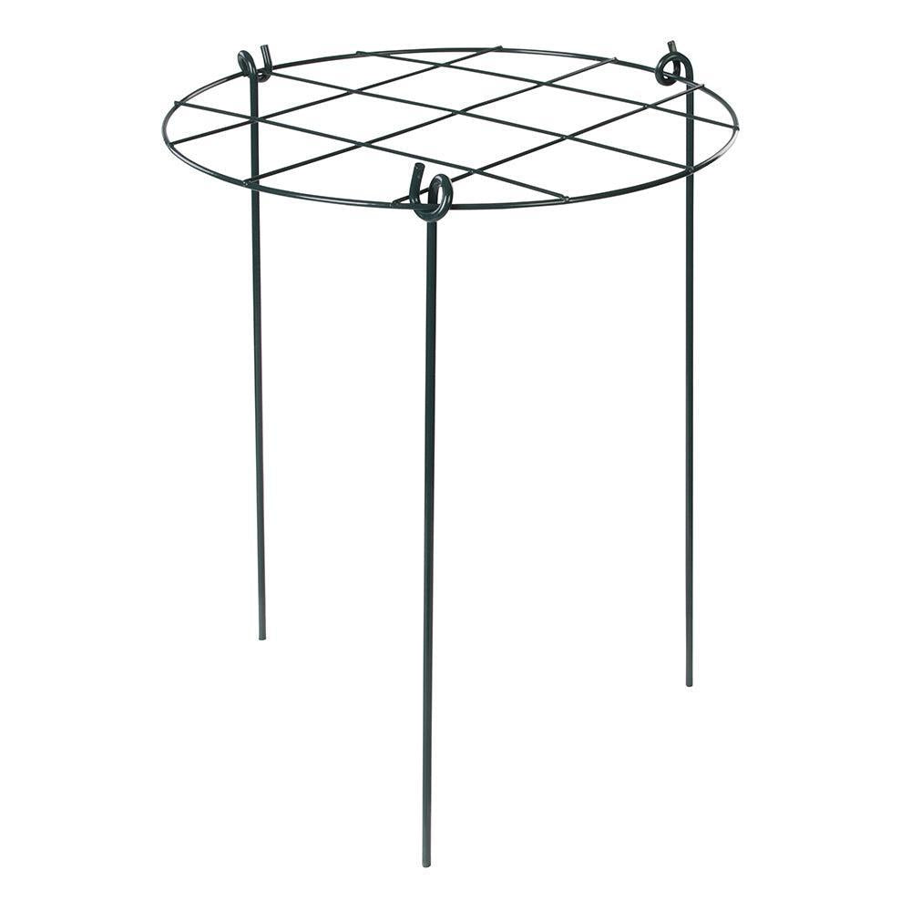 Silverline - Tuin groeit set, 4-delig 300 x 450 mm