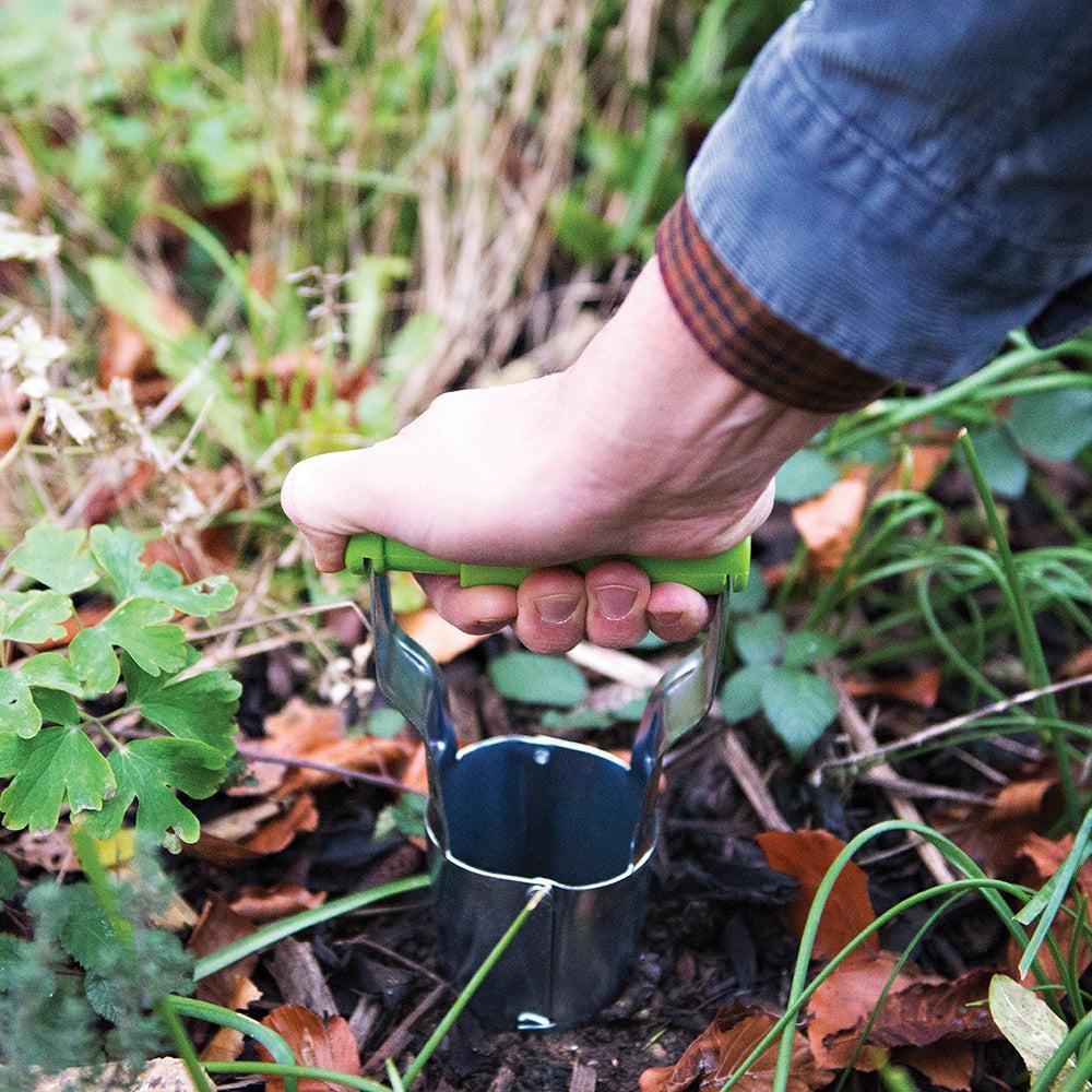 Silverline - Bollenplanter 235 mm