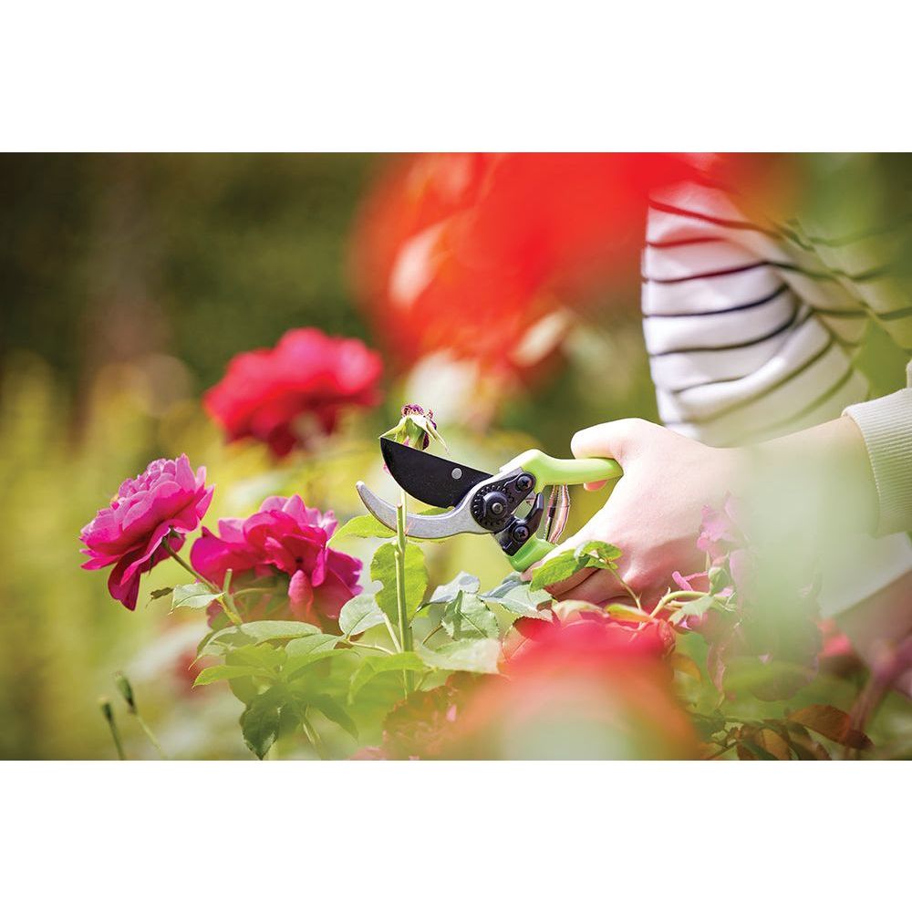 Silverline - Snoeischaar 220 mm