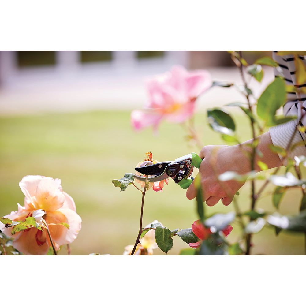 Silverline - Snoeischaar 220 mm